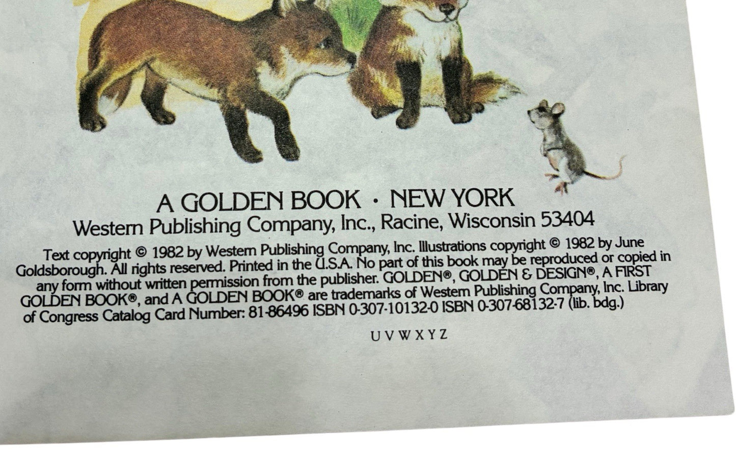 Vintage 1982 Little Golden Book “Animal Homes” by E.K. Davis - Hardcover