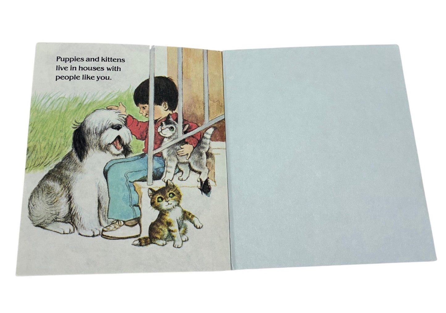 Vintage 1982 Little Golden Book “Animal Homes” by E.K. Davis - Hardcover