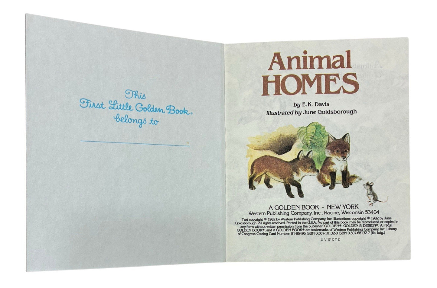 Vintage 1982 Little Golden Book “Animal Homes” by E.K. Davis - Hardcover
